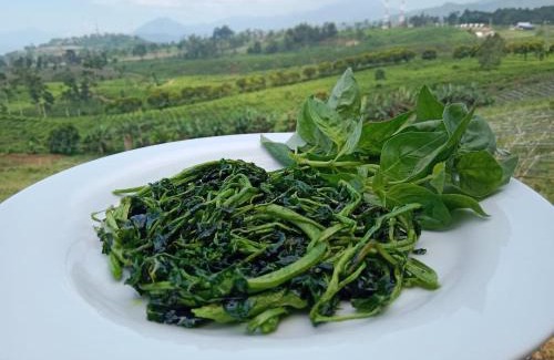 Ciater Villa | Bintang Langit Lodge Ciater