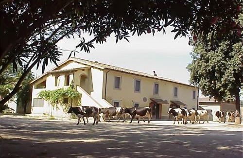 Orte House | Biobagnolese Agriturismo