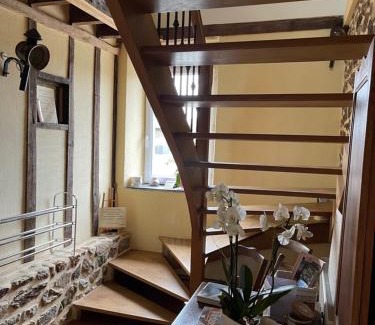 Argentre-du-Plessis House | Biologite
