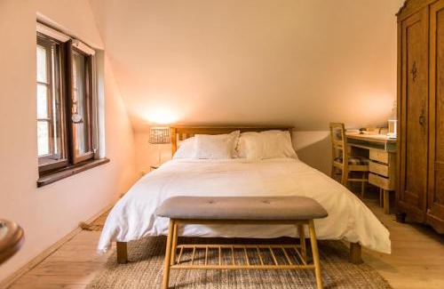 Miszewko Apartment | Birchy Hills
