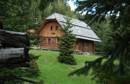 Bad Sankt Leonhard im Lavanttal Ski Chalet | Bischofhütten