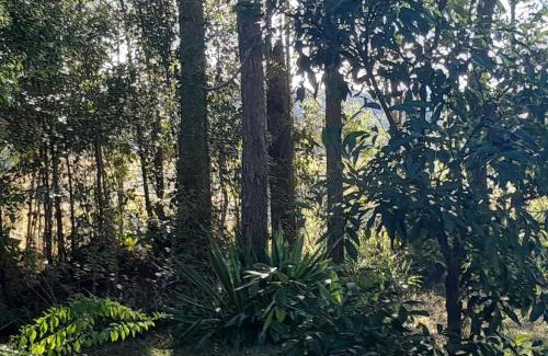 Nimbin Apartment | Bitolovo The Blue House