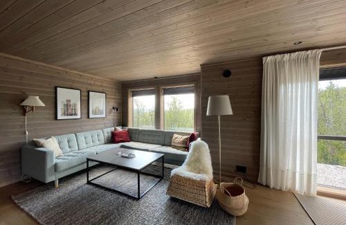 Al House | Bjørkebo in Ål - cabin in hiking and skiing area