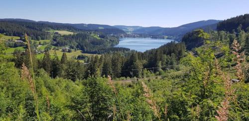 Hoechenschwand Apartment | Black Forest Schwarzwaldblick Indoorpool WIFI Natur Komfort