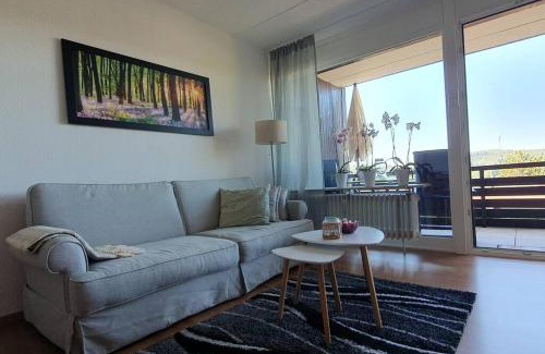 Schonach im Schwarzwald Apartment | Black Forest Schwarzwaldliebe Pool Sauna Tennis Tischtennis Wifi Netflix Natur