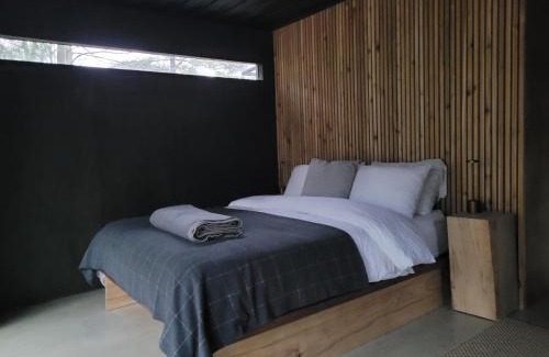 Milton House | Black Pine Tree House