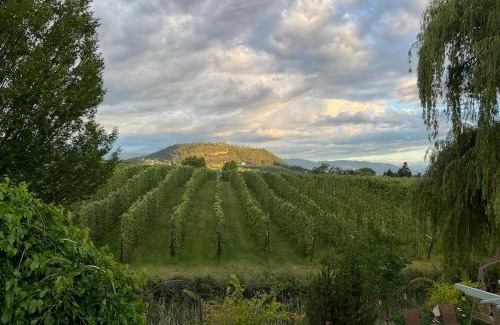 North Glenmore Bed & Breakfast | Blackbird Glen Bed and Breakfast, Glenmore, Kelowna, BC