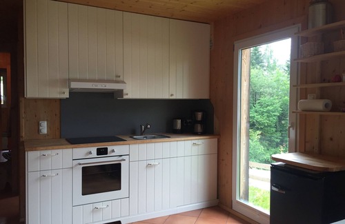 Annaberg im Lammertal House | Block house directly in an idyllic ski, walk and mountain bike region