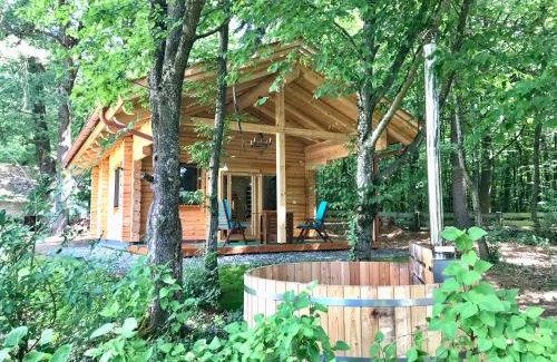 Oberschuetzen Ski Chalet | Blockhaus Chalet mit beheizbarem Badefass und Infrarotsauna auf der Terrasse