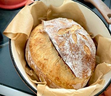 Mount Vision Bed & Breakfast | Bloom Farm Guesthouse