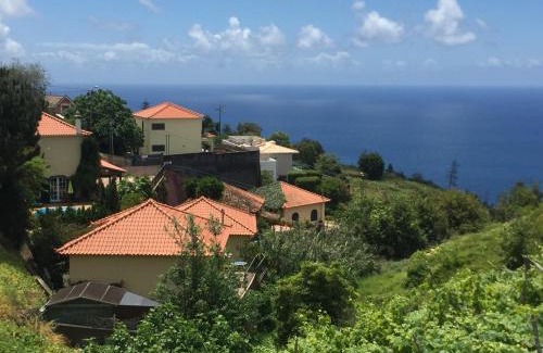 Estreito da Calheta House | Blooming Botanic Houses