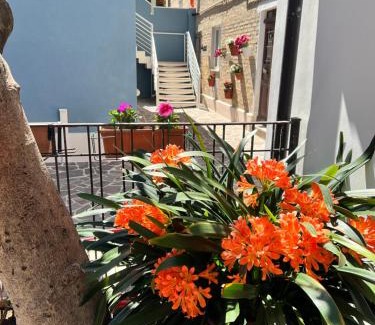 Porto San Giorgio Apartment | BLU CORALLO