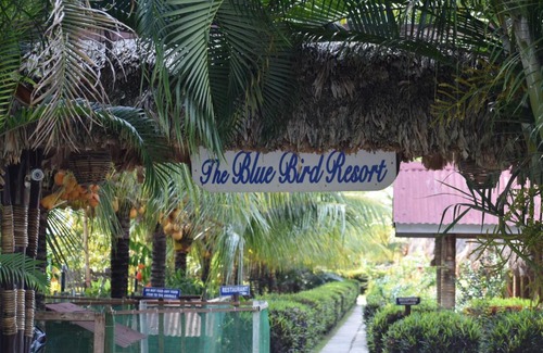 Havelock Island Resort | Blue Bird Resort