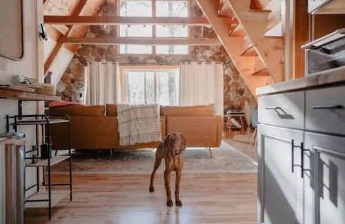 Jay Ski Chalet | Blue Hour Hot Tub | Dog Friendly | AC Mini Split