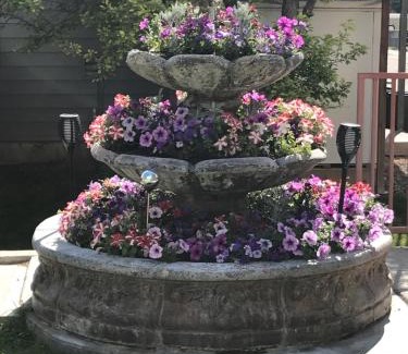 Meeker Hotel | Blue Spruce Inn-Meeker, Colorado