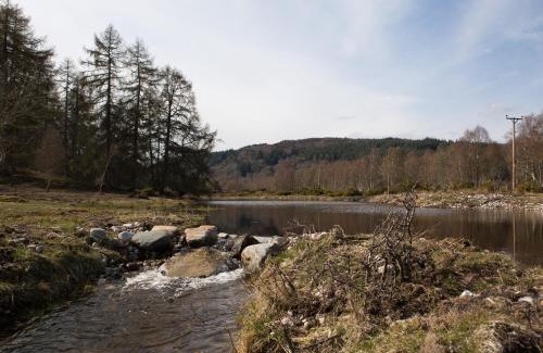 Contin House | Bluebell Lodge - Sleeps 4 Hot Tub Loch & Woodland