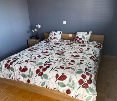 Bouveret Apartment | BnB la Vague