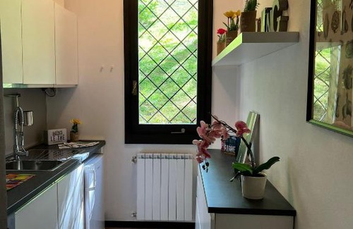 Ispra Apartment | Bnbook Casa Luccio VistaLago Ispra