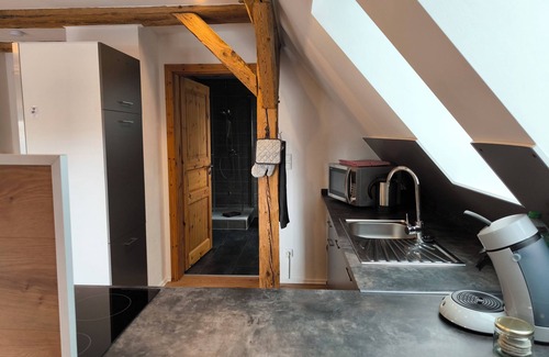 Singen Apartment | Bo'SeeAnNa II: DG maisonette holiday apartment: winding and cozy (43sqm)