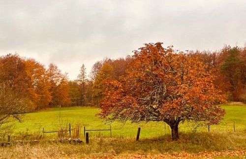 Arkelstorp Villa | Boana farm