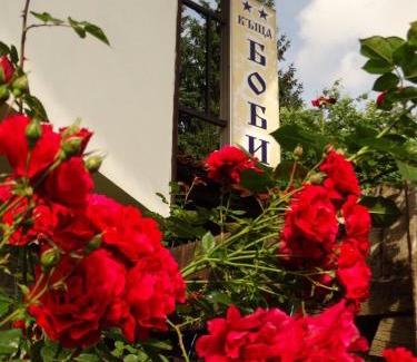 Koprivshtitsa House | Bobi Guest House