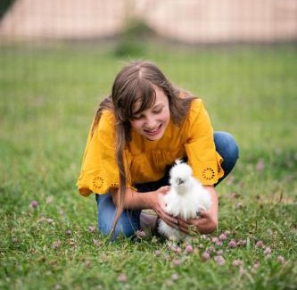 Bozeman Other | Bodhi Farms