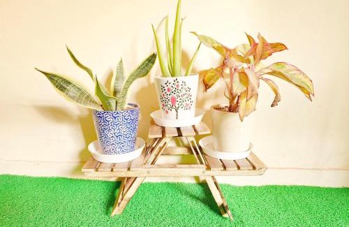 Vasant Kunj Apartment | Bohemian Rhapsody - Queens