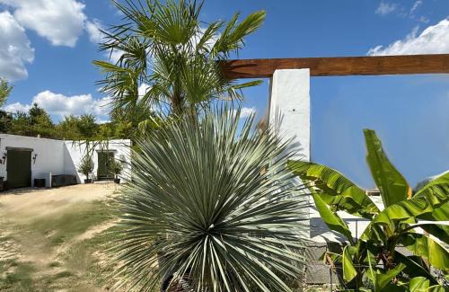Pazmandfalu Apartment | Borbara Apartman
