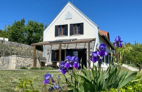 Vaszoly Villa | Borbora Borház Villa
