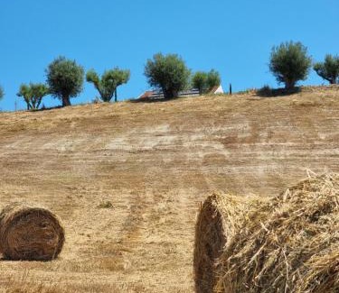 San Calogero Apartment | Borgo Barone