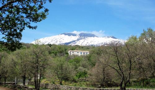 Ragalna House | Boscoscuro