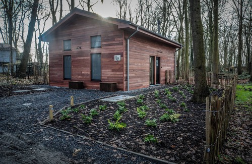 Voormezele House | Boshuis Papilio is a quiet residence in a forest within walking distance of Ypres.