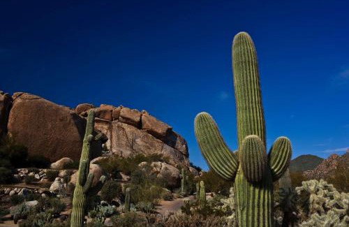 The Boulders Resort | Boulders Resort & Spa Scottsdale, Curio Collection by Hilton