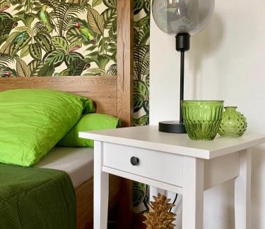 Metzingen Apartment | Boutique Apartment Villa Landenberger Outlet Metzingen P12E