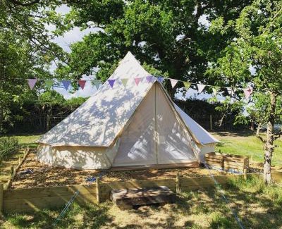 Ottery St Mary Other | Bowhayes Farm - Camping & Glamping - Bell Tents - Cider Orchard