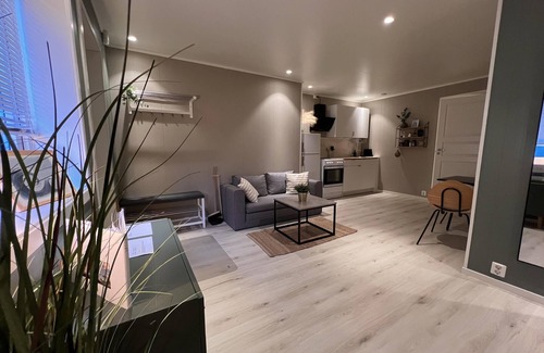 Bodo Apartment | Brand new and private studio apartment!