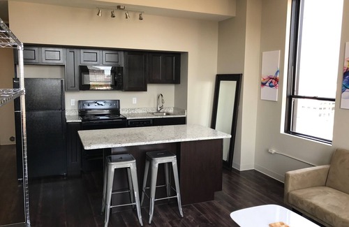 Moline Apartment | Brand new, stellar views, hip space in true downtown urban living!