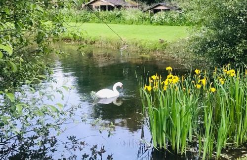 Worcester Bed & Breakfast | Bransford Farm Fishery & B & B