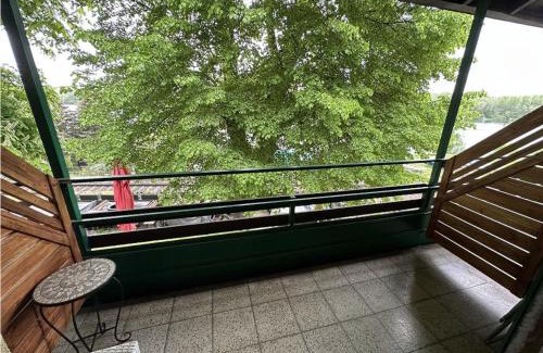 Greifenstein House | Brauner Bär mit tollen Ausblick