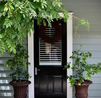 Greytown Apartment | Briarwood