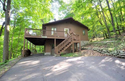 Berkeley Springs Ski Chalet | Brigadoon - Pet Friendly, Wifi, Pool Access, King Bed, Hiking, Wood Stove, Family Friendly, Deck