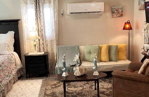 Southside Apartment | Bright Spacious Studio Near City and Palm Beach