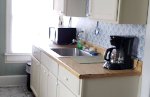 Mount Clemens House | Bright, upper flat large bedroom, large closet & sitting area