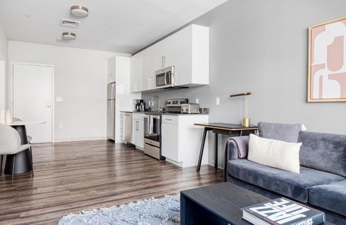 St. Elizabeth's Apartment | Brighton 1BR w WD Gym nr T Shops Dining BOS-435