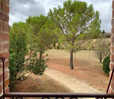 Fenols Bed & Breakfast | Brin de Cocagne