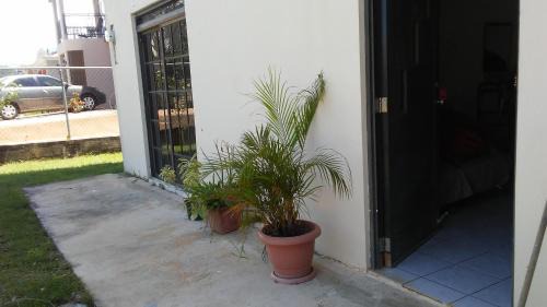 Camaceyes Apartment | Brisas de Borinquen