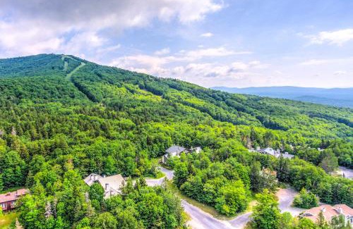 Bromley Mountain Apartment | Bromley Mountain Escape with 2 Balconies Hike and Ski