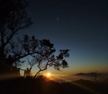Tosari House | Bromo Tanjung