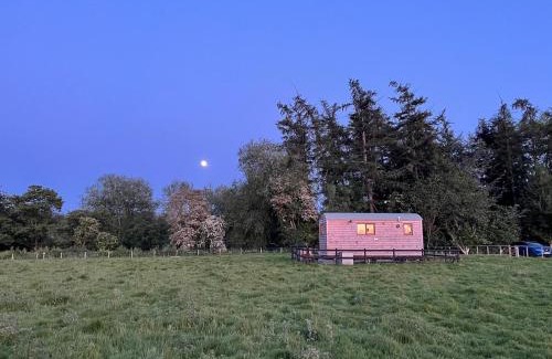 Garthmyl Bed & Breakfast | Bron Hafren