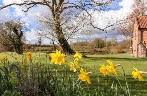 Harleston House | Brook Farm